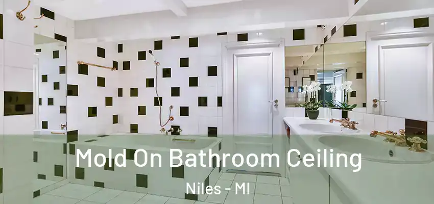  Mold On Bathroom Ceiling Niles - MI