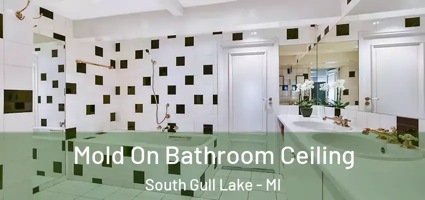  Mold On Bathroom Ceiling South Gull Lake - MI