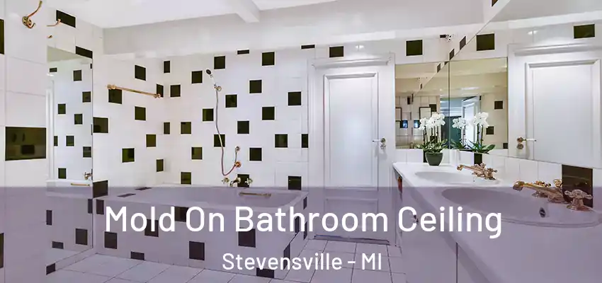  Mold On Bathroom Ceiling Stevensville - MI