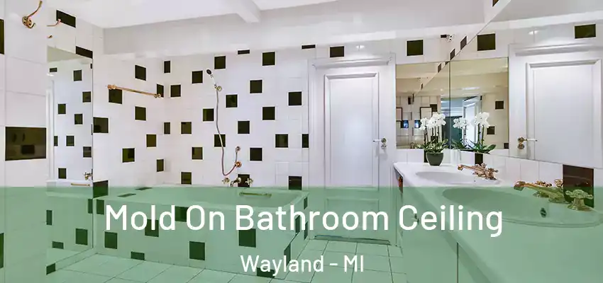  Mold On Bathroom Ceiling Wayland - MI