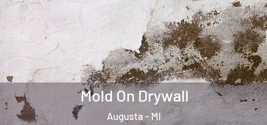  Mold On Drywall Augusta - MI