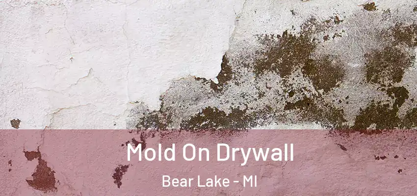  Mold On Drywall Bear Lake - MI