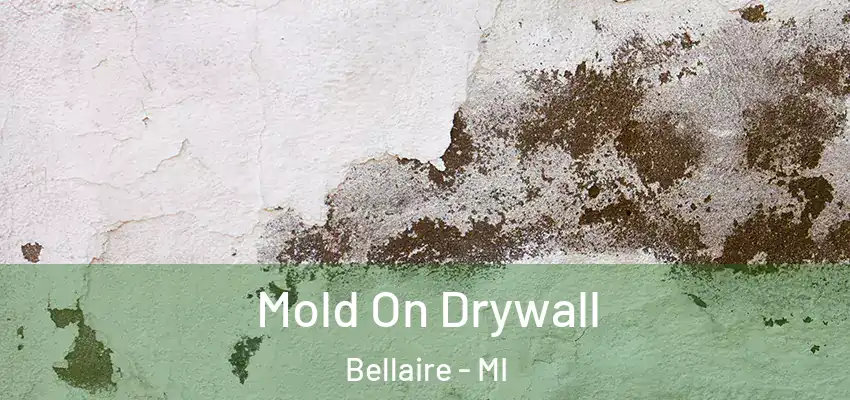  Mold On Drywall Bellaire - MI