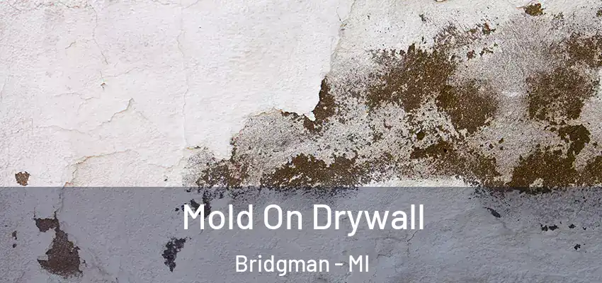  Mold On Drywall Bridgman - MI