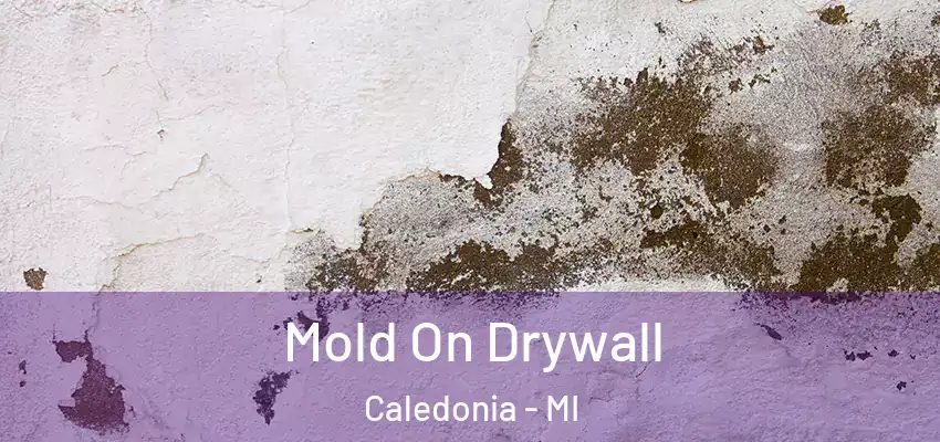  Mold On Drywall Caledonia - MI