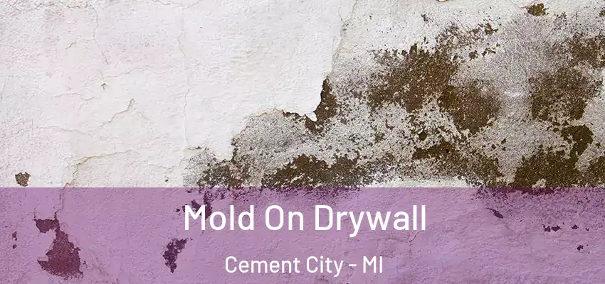 Mold On Drywall Cement City - MI