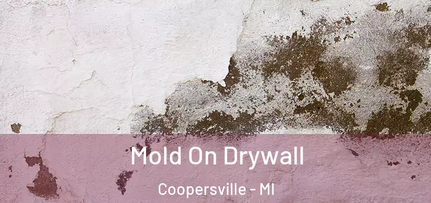  Mold On Drywall Coopersville - MI