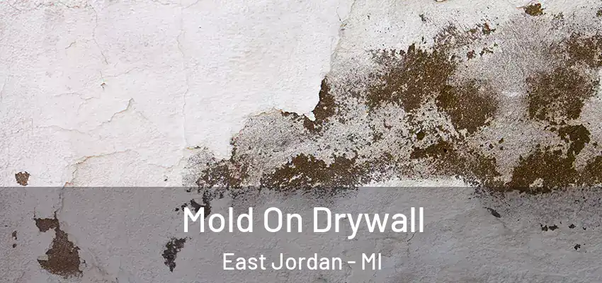 Mold On Drywall East Jordan - MI
