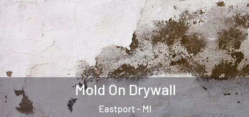  Mold On Drywall Eastport - MI