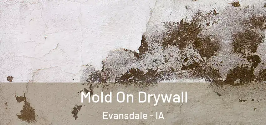  Mold On Drywall Evansdale - IA