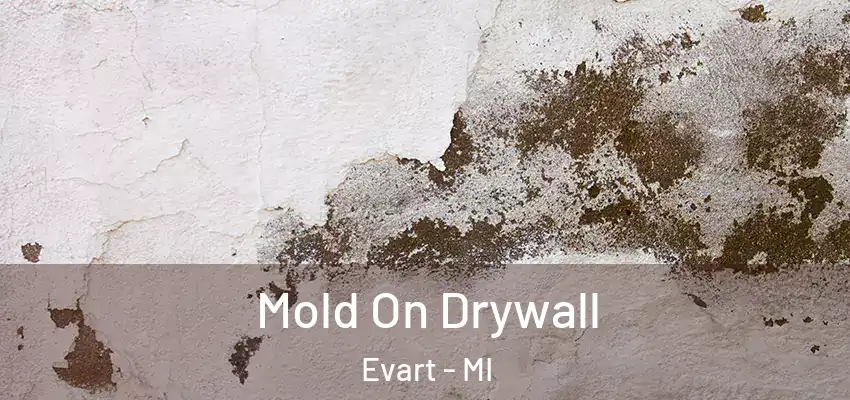Mold On Drywall Evart - MI