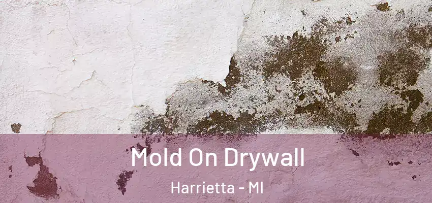 Mold On Drywall Harrietta - MI