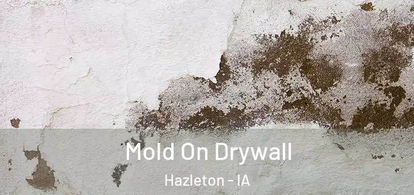  Mold On Drywall Hazleton - IA