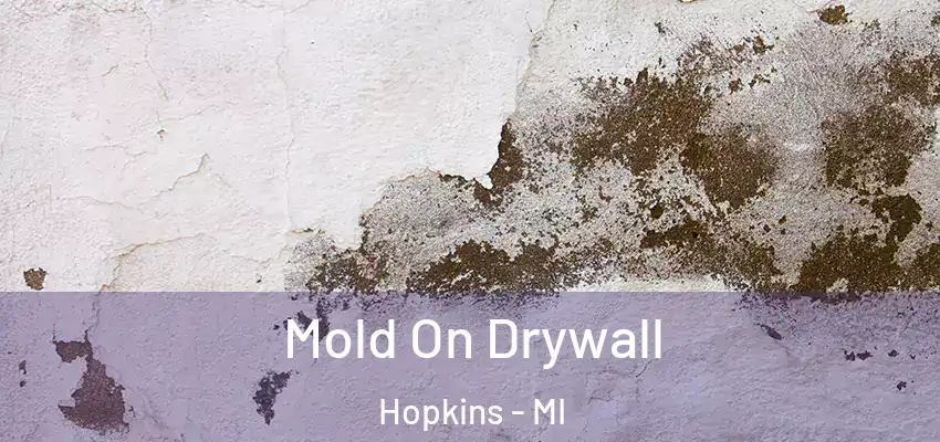 Mold On Drywall Hopkins - MI