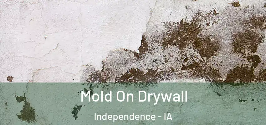  Mold On Drywall Independence - IA