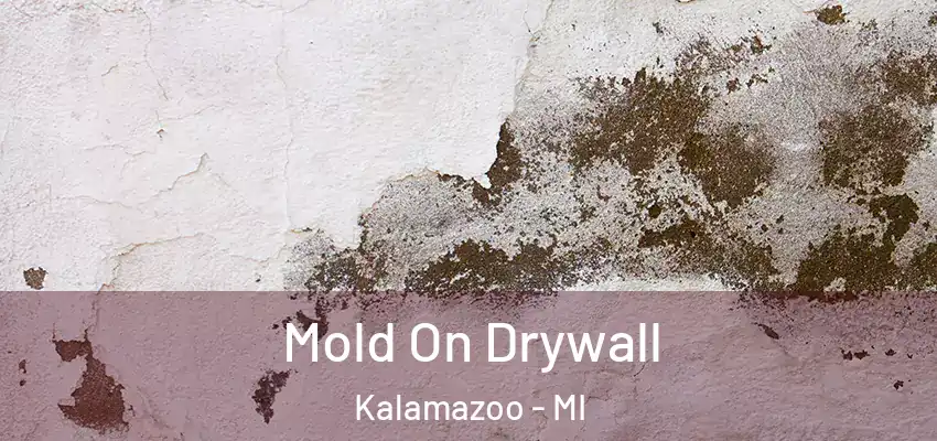  Mold On Drywall Kalamazoo - MI