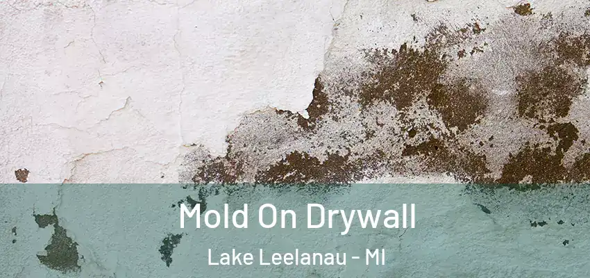  Mold On Drywall Lake Leelanau - MI