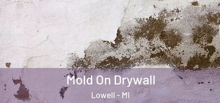 Mold On Drywall Lowell - MI