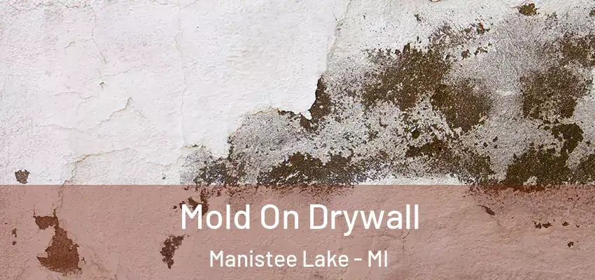  Mold On Drywall Manistee Lake - MI