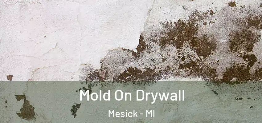 Mold On Drywall Mesick - MI