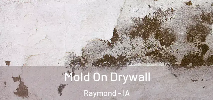 Mold On Drywall Raymond - IA