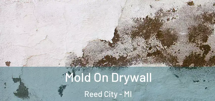  Mold On Drywall Reed City - MI