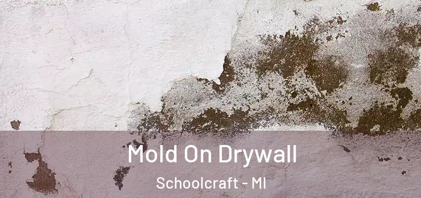 Mold On Drywall Schoolcraft - MI