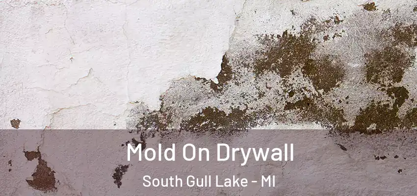 Mold On Drywall South Gull Lake - MI