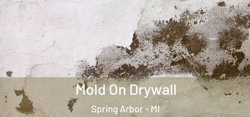 Mold On Drywall Spring Arbor - MI