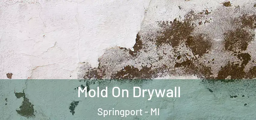 Mold On Drywall Springport - MI