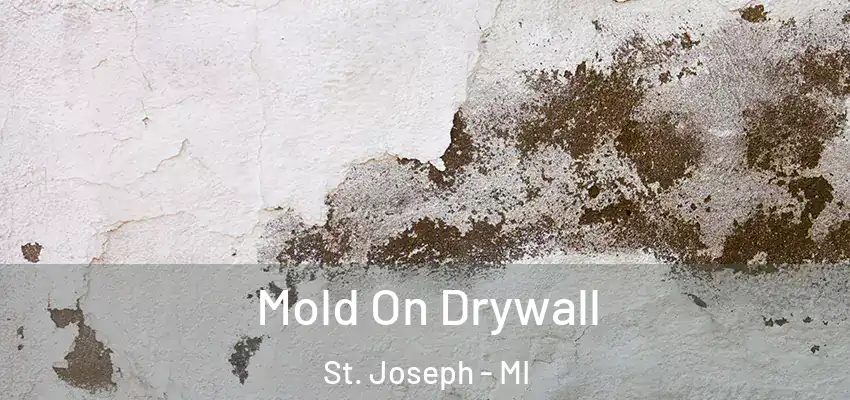  Mold On Drywall St. Joseph - MI