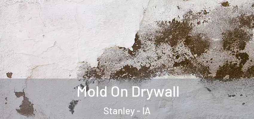Mold On Drywall Stanley - IA