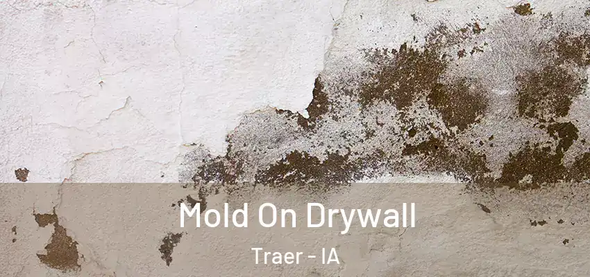  Mold On Drywall Traer - IA