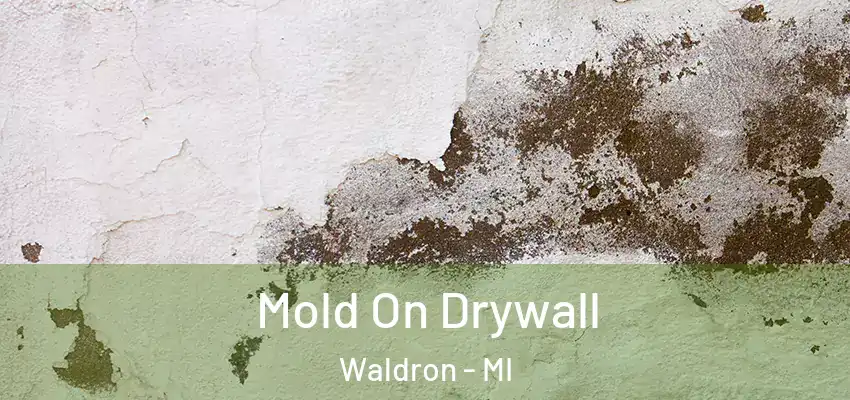 Mold On Drywall Waldron - MI