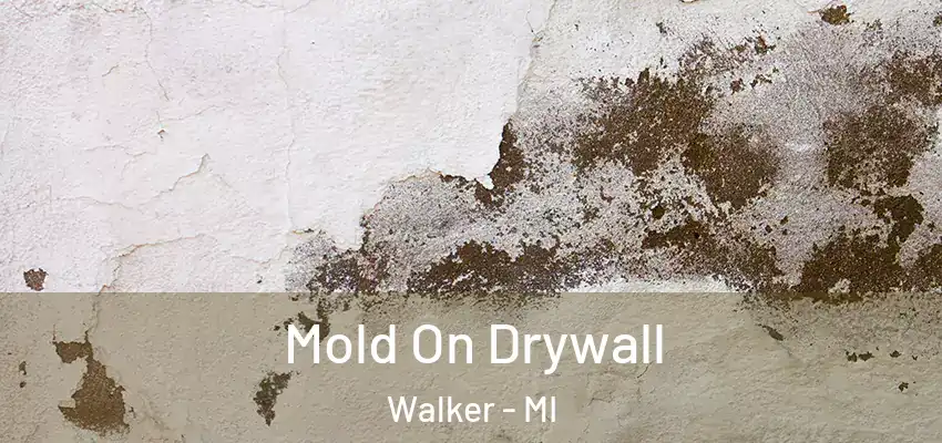  Mold On Drywall Walker - MI