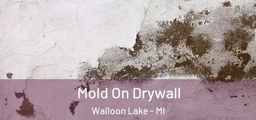  Mold On Drywall Walloon Lake - MI