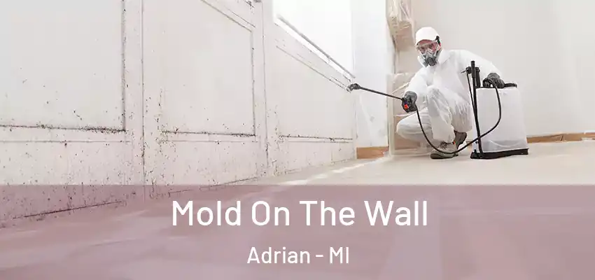  Mold On The Wall Adrian - MI