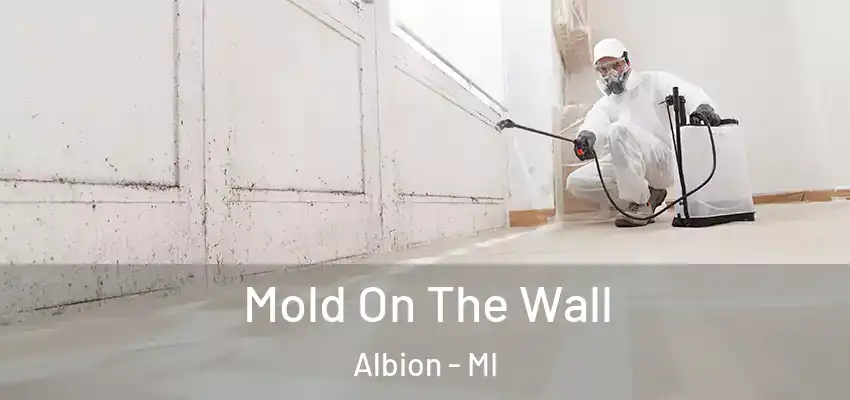  Mold On The Wall Albion - MI