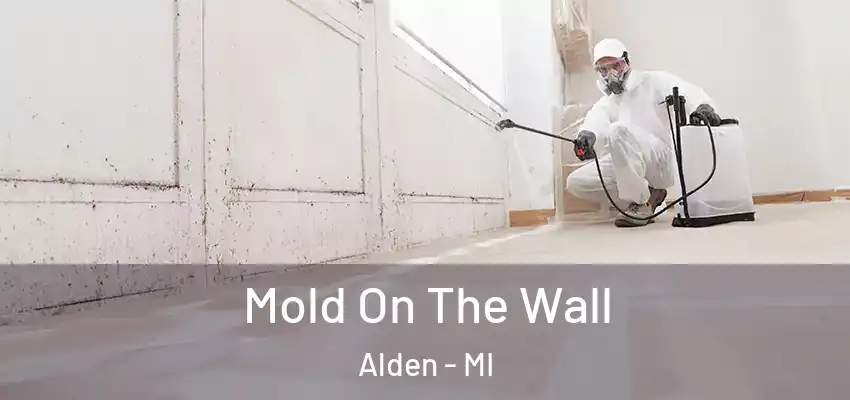  Mold On The Wall Alden - MI
