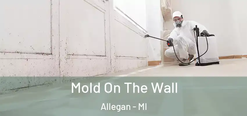  Mold On The Wall Allegan - MI