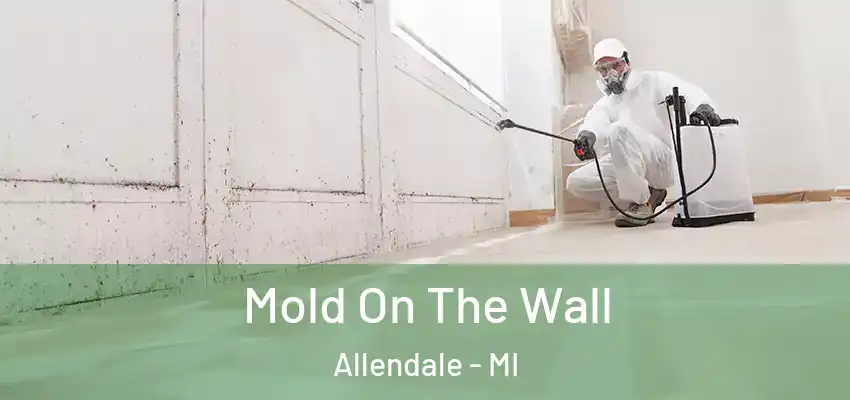  Mold On The Wall Allendale - MI