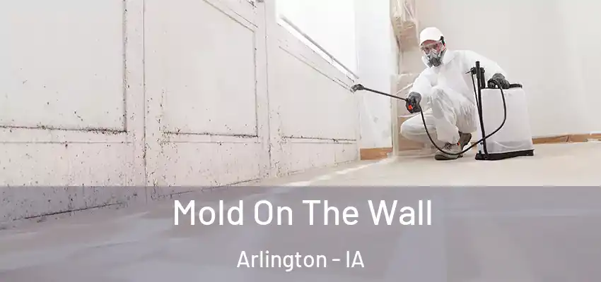  Mold On The Wall Arlington - IA