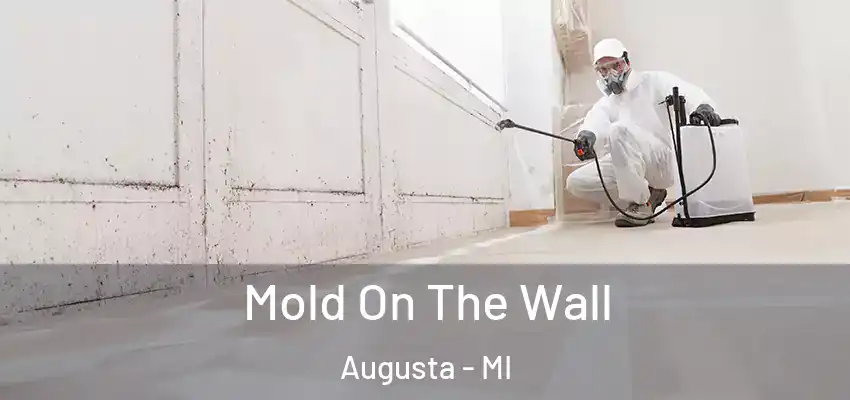  Mold On The Wall Augusta - MI