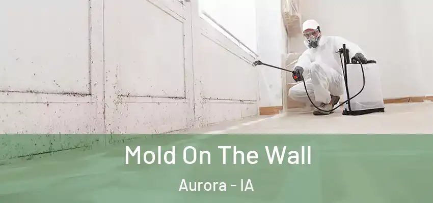  Mold On The Wall Aurora - IA