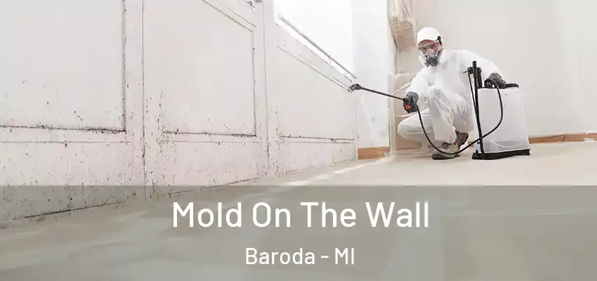  Mold On The Wall Baroda - MI