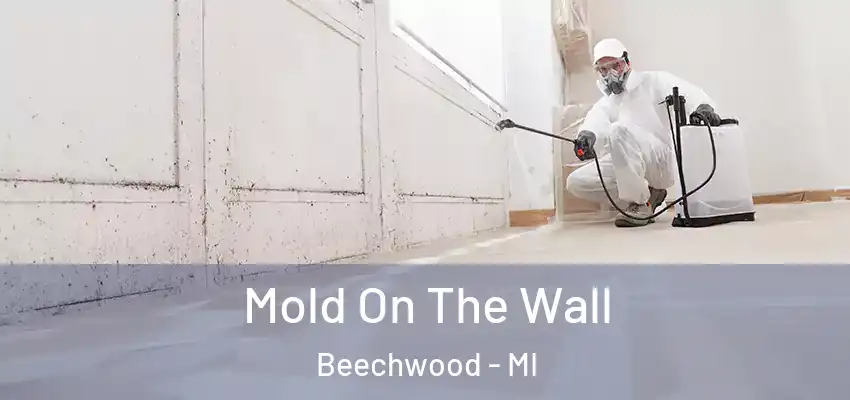 Mold On The Wall Beechwood - MI