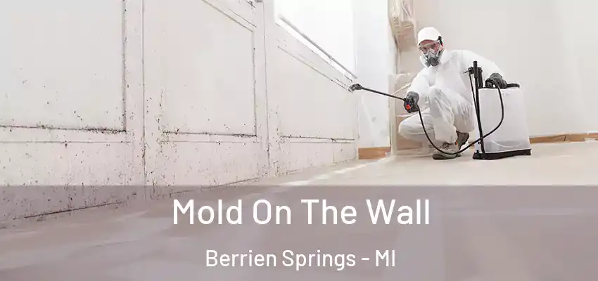  Mold On The Wall Berrien Springs - MI