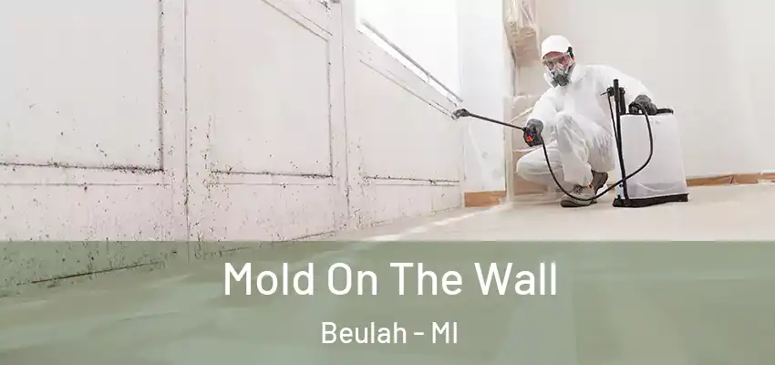  Mold On The Wall Beulah - MI