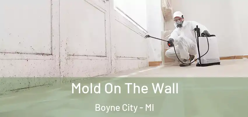  Mold On The Wall Boyne City - MI
