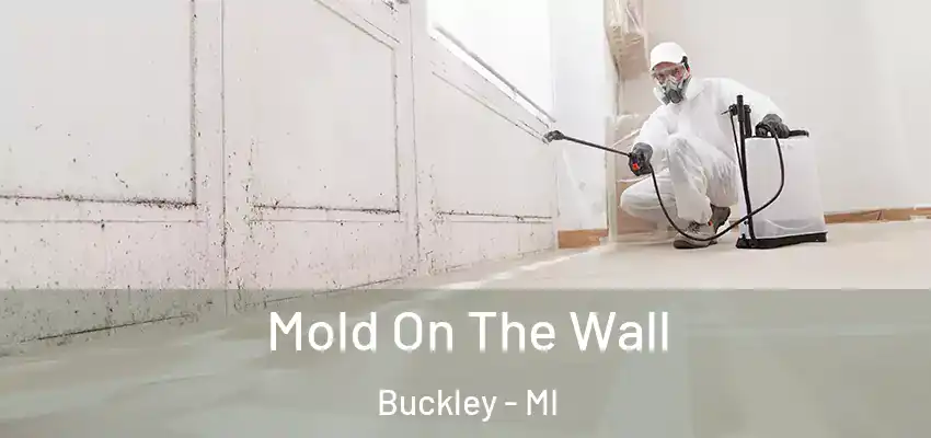  Mold On The Wall Buckley - MI